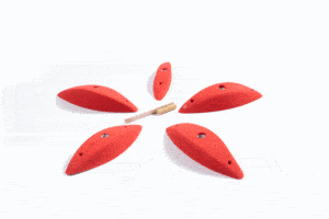 Pinches XL1